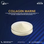 collagen marine powder  كولاجين ماريين بودر