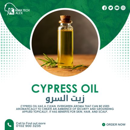 cypress Oil           .زيت السرو