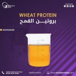بروتين القمح	Wheat Protein
