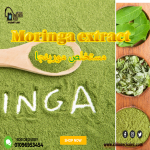 Moringa extract       مستخلص مورينجا