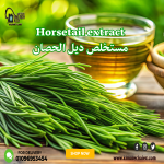 Horsetail extract           مستخلص ديل الحصان