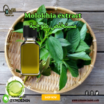 Molokhia extract      مستخلص ملوخية