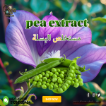 pea extract         مستخلص البسلة