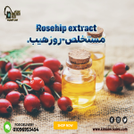 Rosehip extract         مستخلص روز هيب