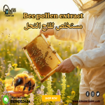Bee pollen extract     مستخلص لقاح النحل