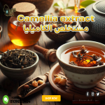 Camellia extract      مستخلص الكاميليا