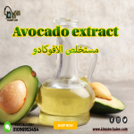 Avocado extract          مستخلص الافوكادو