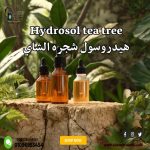 Hydrosol tea tree هيدروسول شجره الشاي