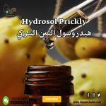 Hydrosol Tin Spick هيدروسول تين شوكي