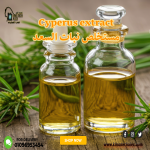 Cyperus extract        مستخلص نبات السعد