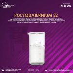 PQ-22	Poly Quaternium 22