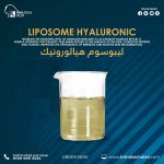LIPOSOME HYALURONIC ACID ليبوسوم هيالورونيك اسيد