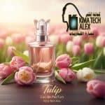 Tulip      عطر زهرة التيوليب