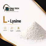 L ـ Lysine       ال ـ ليسين