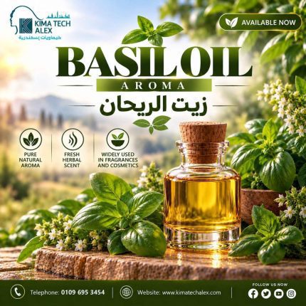 BASIL OIL *AROMA* زيت الريحان - 50 gm