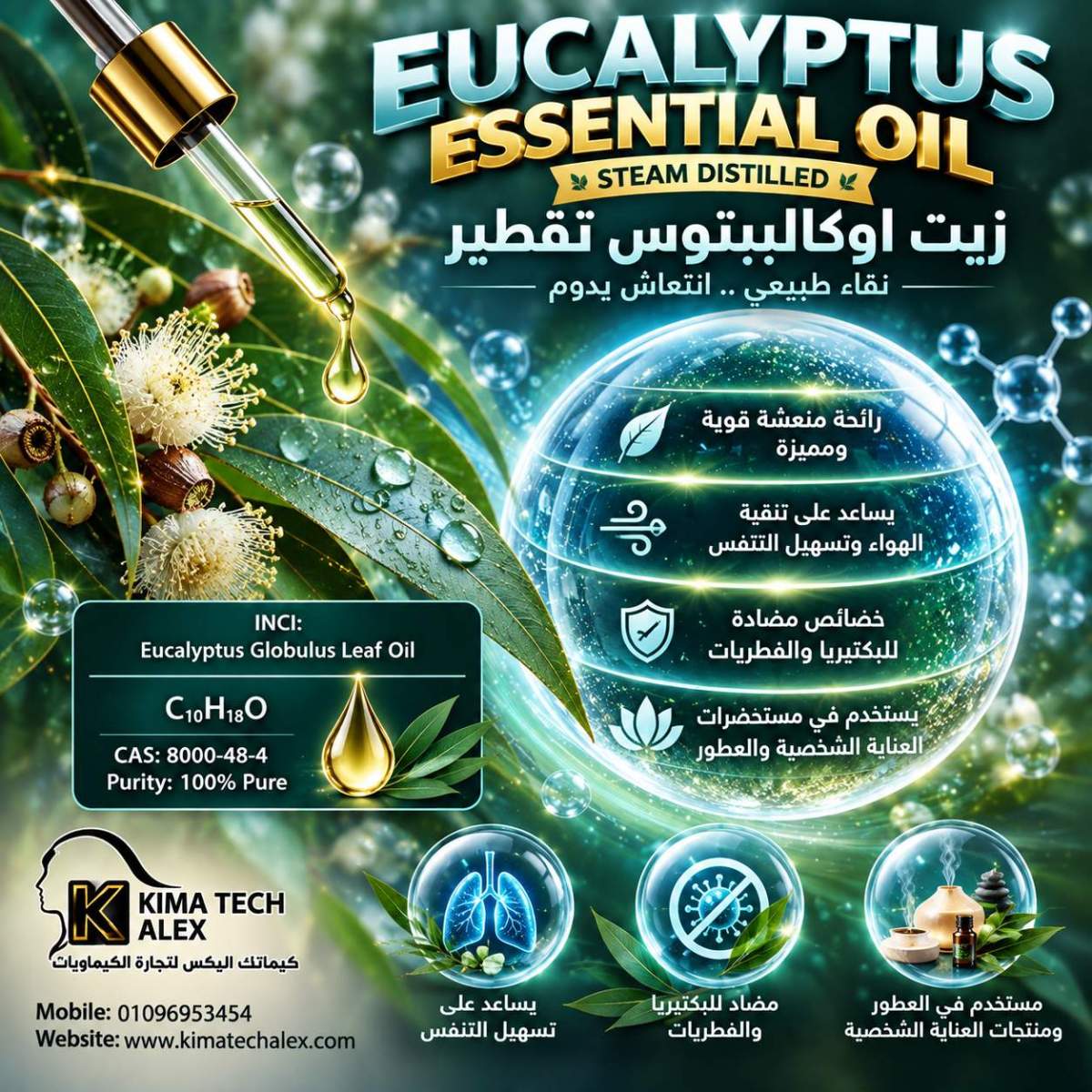 Eucalyptus Essential Oil Infographic Eucalyptus essential oil زيت اوكاليبتوس تقطير - Image 1