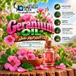 Geranium oil        زيت الجيرانيوم تقطير
