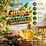 Ginger extract      مستخلص زنجبيل