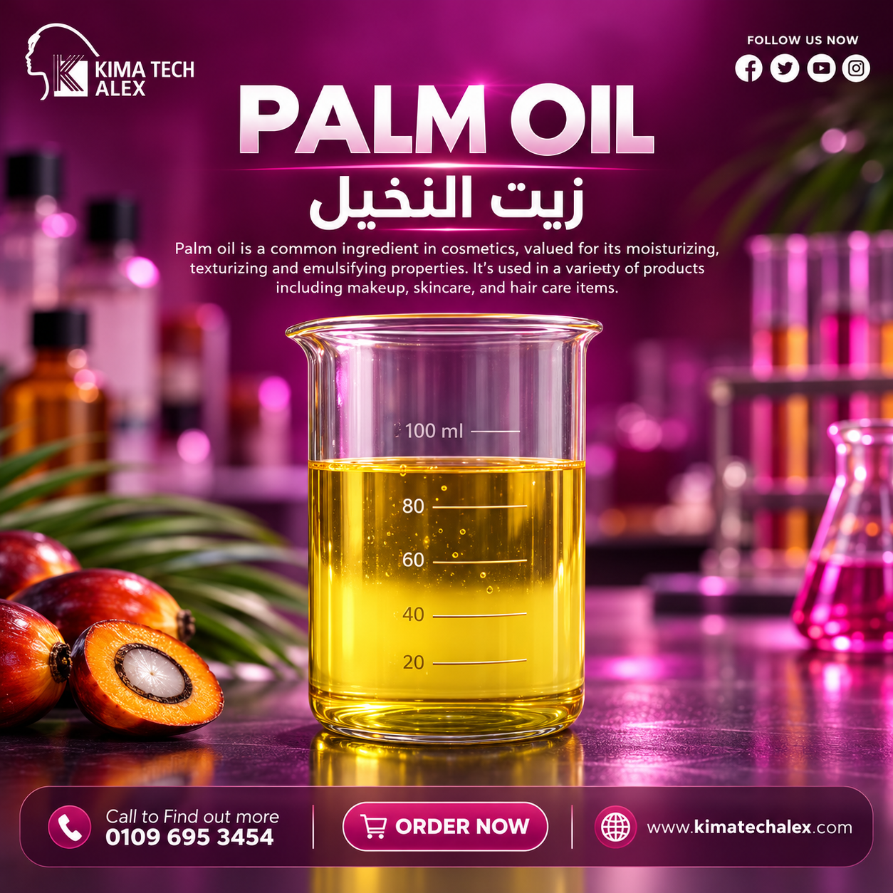 palm oil    زيت النخيل