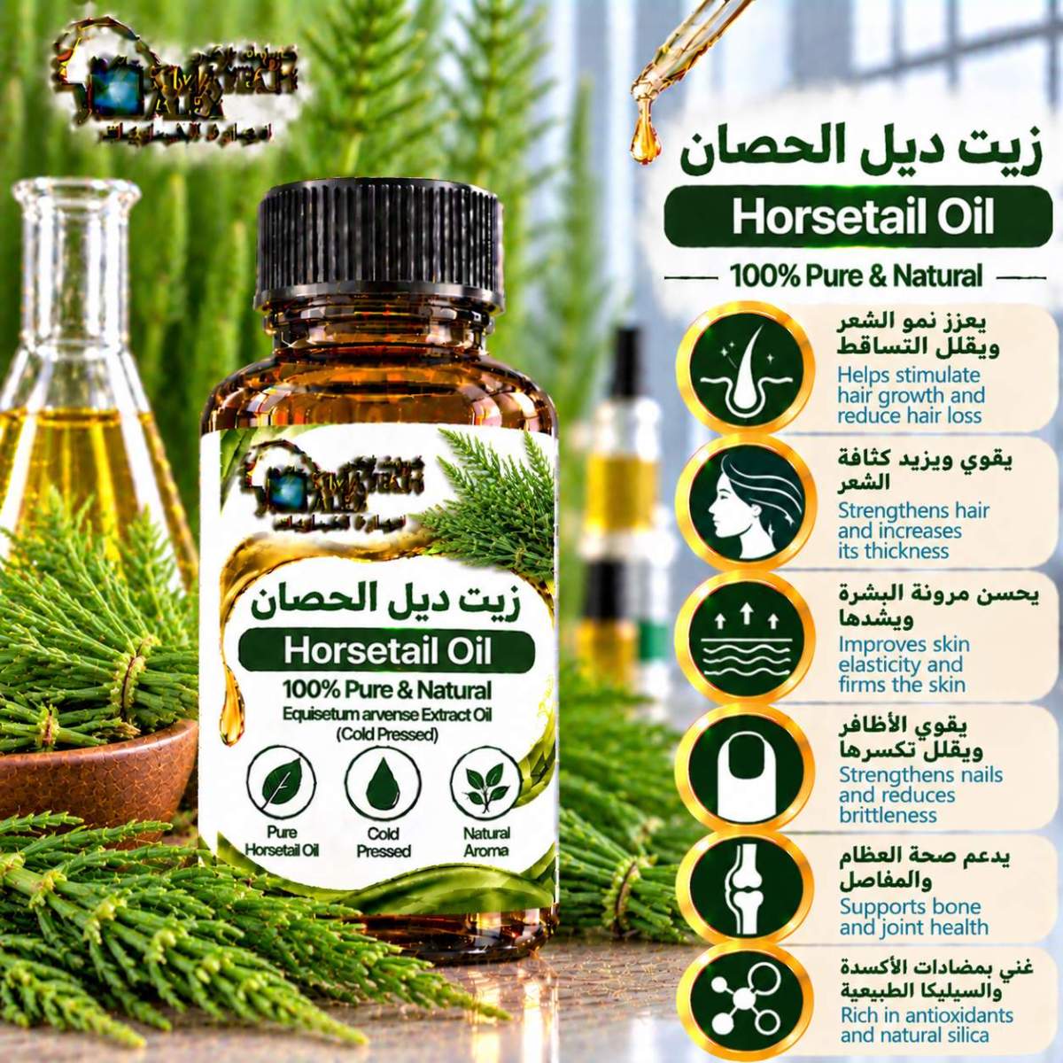 Horsetail Oil Botanical Wellness Poster Horsetail oil زيت ديل الحصان - Image 1