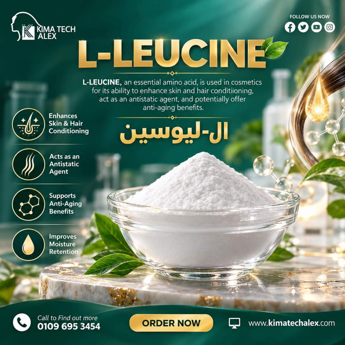 L-Leucine Cosmetic Ingredient Spotlight L ـ Lysine ال ـ ليسين - Image 1