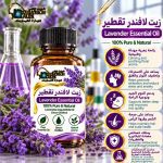 Lavender essential  oil 	زيت لافندر تقطير