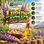 Lupine extract     مستخلص الترمس
