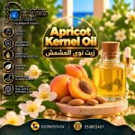 Noy apricot oil	زيت نوي المشمش