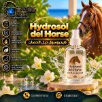 Hydrosol del horse هيدروسول ديل الحصان