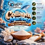 collagen marine powder  كولاجين ماريين بودر