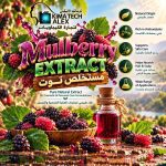 Mulberry extract       مستخلص توت