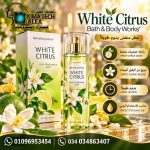 White Citrus Bath & Body Works عطر