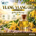 YLANG YLANG OIL  *AROMA*  زيت يلانج يلانج