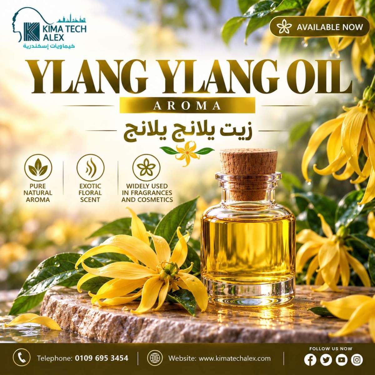 Ylang Ylang Oil Botanical Advertisement YLANG YLANG OIL *AROMA* زيت يلانج يلانج - Image 1