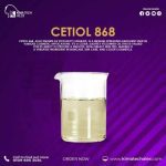 سيتول 868   CETHOL  868