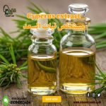 Cyperus extract        مستخلص نبات السعد