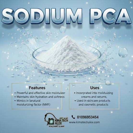 images Sodium PCA Sodium Pyrrolidone Carboxylic Acid - Image 1