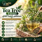 Tea tree extract      مستخلص شجرة الشاي